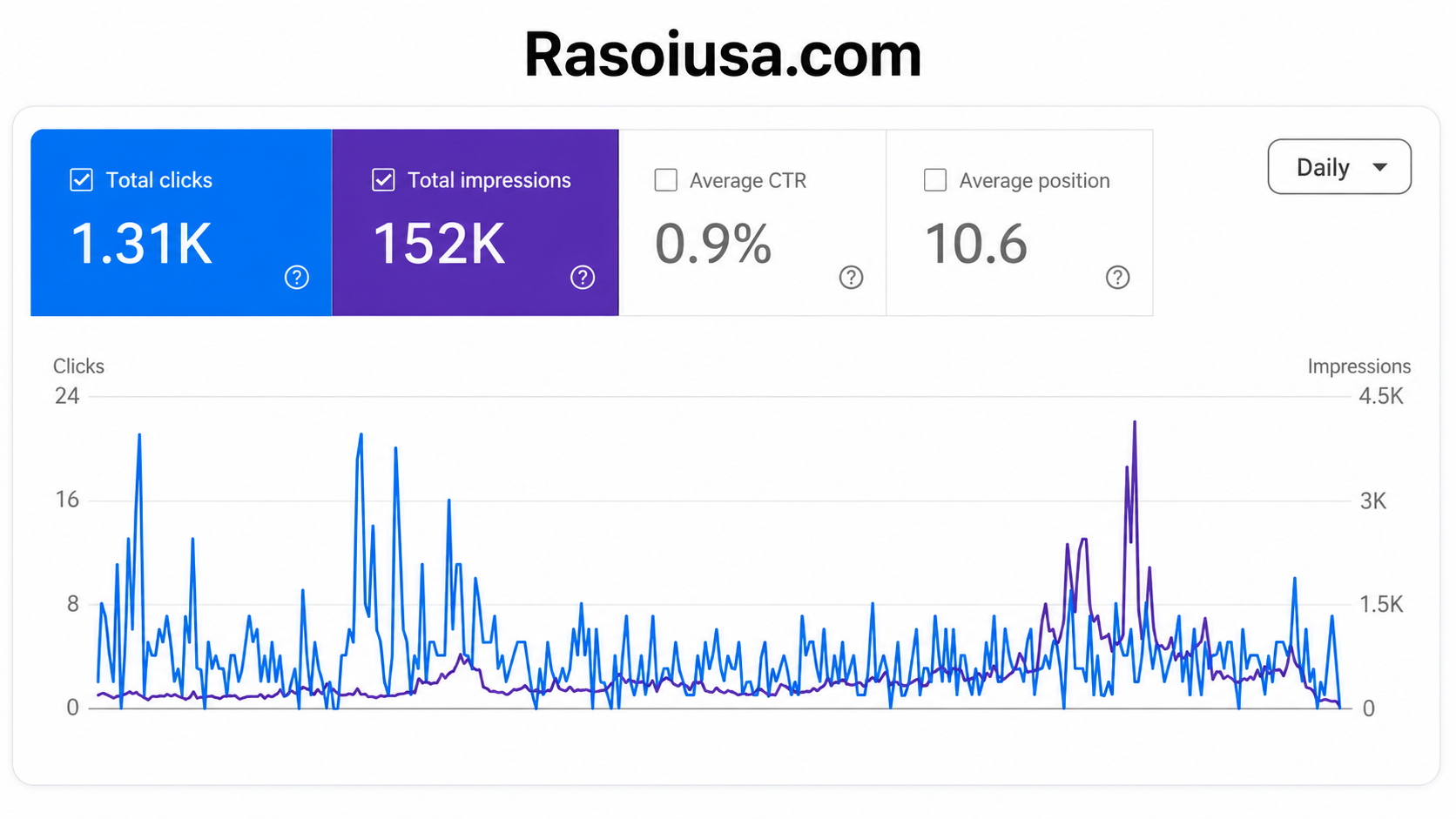 Rasoi USA Google Search Console SEO performance results